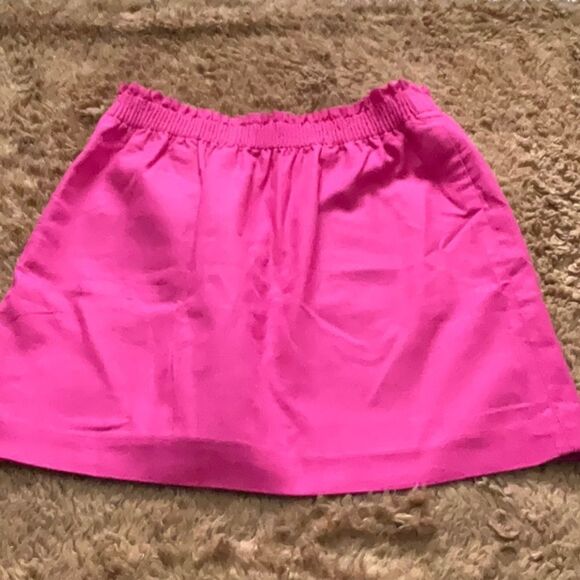 J. Crew Factory Pink Skirt - Picture 3 of 3